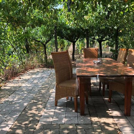 Szendergo - Apartman Hajos Pincefalu Exterior photo